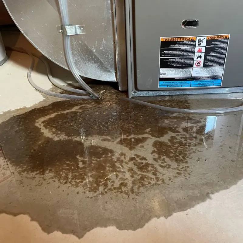 Pipe Burst and Leak Restoration in Beechwood, MS