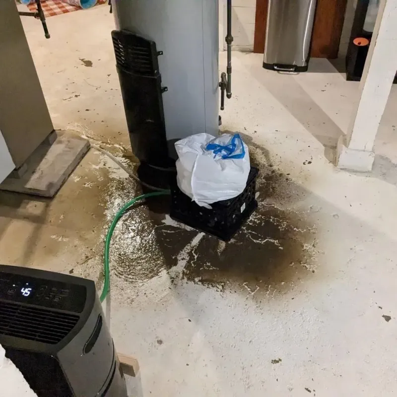 Sewage Backup Cleanup Service in Beechwood, MS